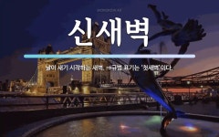 도새기1982신 | 신새벽 뜻: 날이 새기 시작하는 새벽. ⇒규범 표기는 ‘첫새벽’이다.
