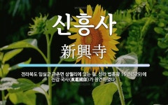 신흥사 뜻: 전라북도 임실군 관촌면 상월리에 있는 절. 신라 법흥왕 16년(529)에 진감 국사(眞鑑國