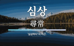 심상 뜻: ‘심상하다’의 어근.