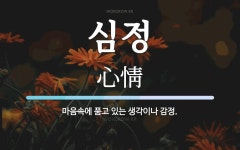 심정 뜻: 마음속에 품고 있는 생각이나 감정.