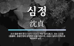 심정 뜻: 조선 중종 때의 문신(1471~1531). 자는 정지(貞之). 호는 소요정(逍遙亭). 중종