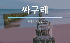 싸구레 뜻: ‘싸구려’의 방언