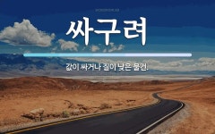 싸구려 뜻: 값이 싸거나 질이 낮은 물건.