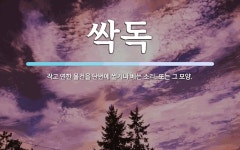 싹독 뜻: 작고 연한 물건을 단번에 썰거나 베는 소리. 또는 그 모양.