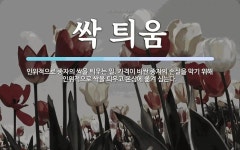 싹 틔움 뜻: 인위적으로 종자의 싹을 틔우는 일. 가격이 비싼 종자의 손실을 막기 위해 인위적으로 싹을 싹 틔움 뜻... 