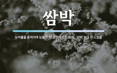 쌈박 뜻: 눈까풀을 움직이며 눈을 한 번 감았다 뜨는 모양. ‘삼박’보다 센 느낌을 준다.