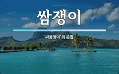 쌈쟁이 뜻: ‘싸움쟁이’의 준말.