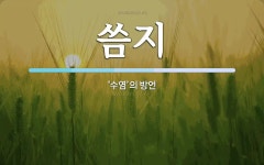 씀지 뜻: ‘수염’의 방언