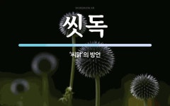 씻독 뜻: ‘씨닭’의 방언