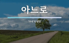 아느로 뜻: ‘아내’의 방언