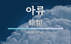 아류 뜻: 나비목의 한 아목.