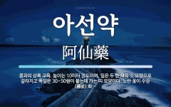 아선약 뜻: 콩과의 상록 교목. 높이는 10미터 정도이며, 잎은 두 번 새의 깃 모양으로 갈라지고 쪽잎