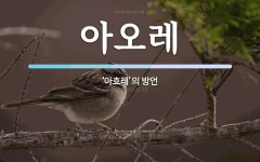 아오레 뜻: ‘아흐레’의 방언