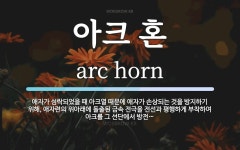 아크 혼 뜻: 애자가 섬락되었을 때 아크열 때문에 애자가 손상되는 것을 방지하기 위해, 애자련의 위아래에