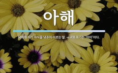 아해 뜻: 남에게 자기 자식을 낮추어 이르는 말. ⇒규범 표기는 ‘아이’이다.