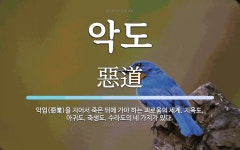 악도 뜻: 악업(惡業)을 지어서 죽은 뒤에 가야 하는 괴로움의 세계. 지옥도, 아귀도, 축생도, 수라