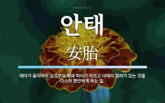 안태 뜻: 태아가 움직여서 임신부의 배와 허리가 아프고 낙태의 염려가 있는 것을 다스려 편안하게 하는