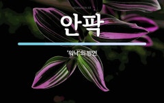 안팍 뜻: ‘워낙’의 방언