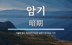 암기 뜻: 식물에 빛이 차단되어 어두운 상태가 유지되는 기간.