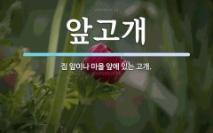 앞고개 뜻: 집 앞이나 마을 앞에 있는 고개.