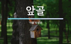 앞골 뜻: ‘이물’의 방언