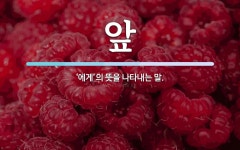 앞 뜻: ‘에게’의 뜻을 나타내는 말.