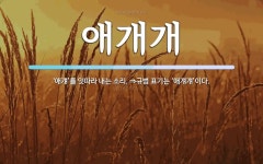 애개개 뜻: ‘애걔’를 잇따라 내는 소리. ⇒규범 표기는 ‘애걔걔’이다.