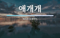 애개개 뜻: ‘애걔걔’의 북한어.
