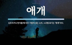 애개 뜻: 뉘우치거나 탄식할 때 아주 가볍게 내는 소리. ⇒규범 표기는 ‘애걔’이다.