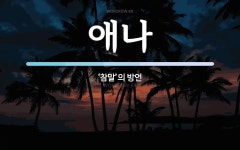 애나 뜻: ‘참말’의 방언