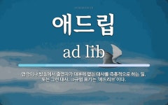 애드립 뜻: 연극이나 방송에서 출연자가 대본에 없는 대사를 즉흥적으로 하는 일. 또는 그런 대사. ⇒규