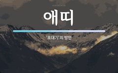 애띠 뜻: ‘포대기’의 방언
