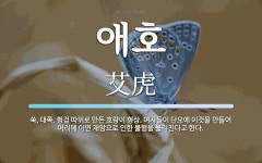 애호 뜻: 쑥, 대쪽, 헝겊 따위로 만든 호랑이 형상. 여자들이 단오에 이것을 만들어 머리에 이면 재