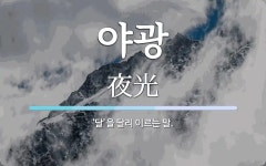 야광 뜻: ‘달’을 달리 이르는 말.