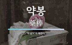 약봉 뜻: ‘약 심지’의 북한어.
