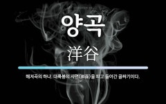 양곡 뜻: 해저곡의 하나. 대륙붕의 사면(斜面)을 파고 들어간 골짜기이다.