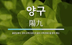 양구 뜻: 음양도에서, 양의 오액(五厄)과 음의 사액(四厄)을 합친 재난.