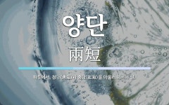 양단 뜻: 화투에서, 청단(靑短)과 홍단(紅短)을 아울러 이르는 말.