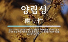 양립성 뜻: 연료 요소 또는 연료봉이 사용되는 환경과 화학 반응을 일으키지 않고 견디는 성질. 수분, 양립성 뜻: 연료 요소 또는 연료봉이... 