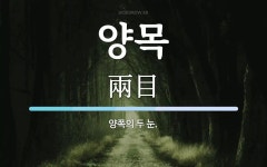 양목 뜻: 양쪽의 두 눈.