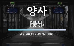 양사 뜻: 양경(陽經)에 침입한 사기(邪氣).