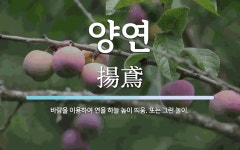 양연 뜻: 바람을 이용하여 연을 하늘 높이 띄움. 또는 그런 놀이.