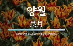 양월 뜻: 길한 달이라는 뜻으로, 음력 10월을 달리 이르는 말.