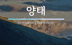 양태 뜻: 갓모자의 밑 둘레 밖으로 둥글넓적하게 된 부분.