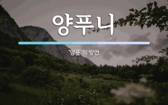 양푸니 뜻: ‘양푼’의 방언