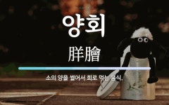양회 뜻: 소의 양을 썰어서 회로 먹는 음식.