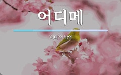 어디메 뜻: ‘어디’의 방언