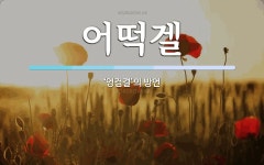 어떡겔 뜻: ‘엉겁결’의 방언