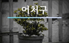 어처구 뜻: ‘어처구니’의 방언