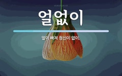 얼없이 뜻: 얼이 빠져 정신이 없이.